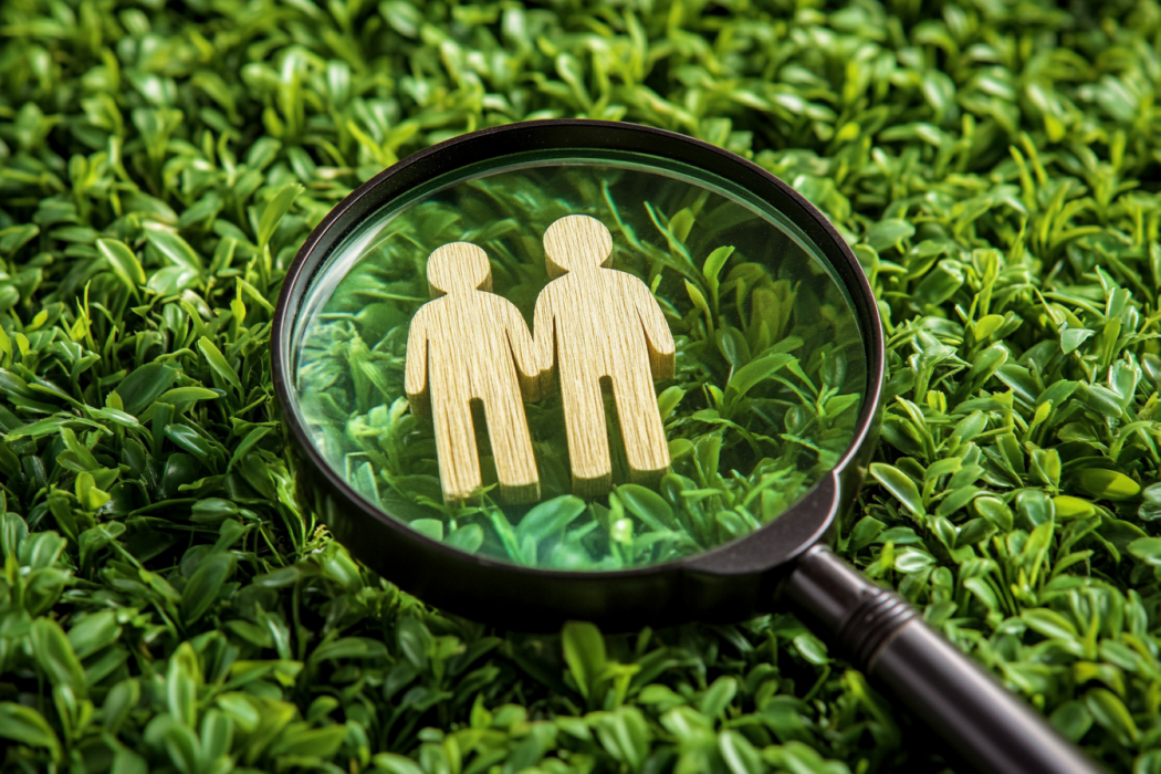 legal private investigator