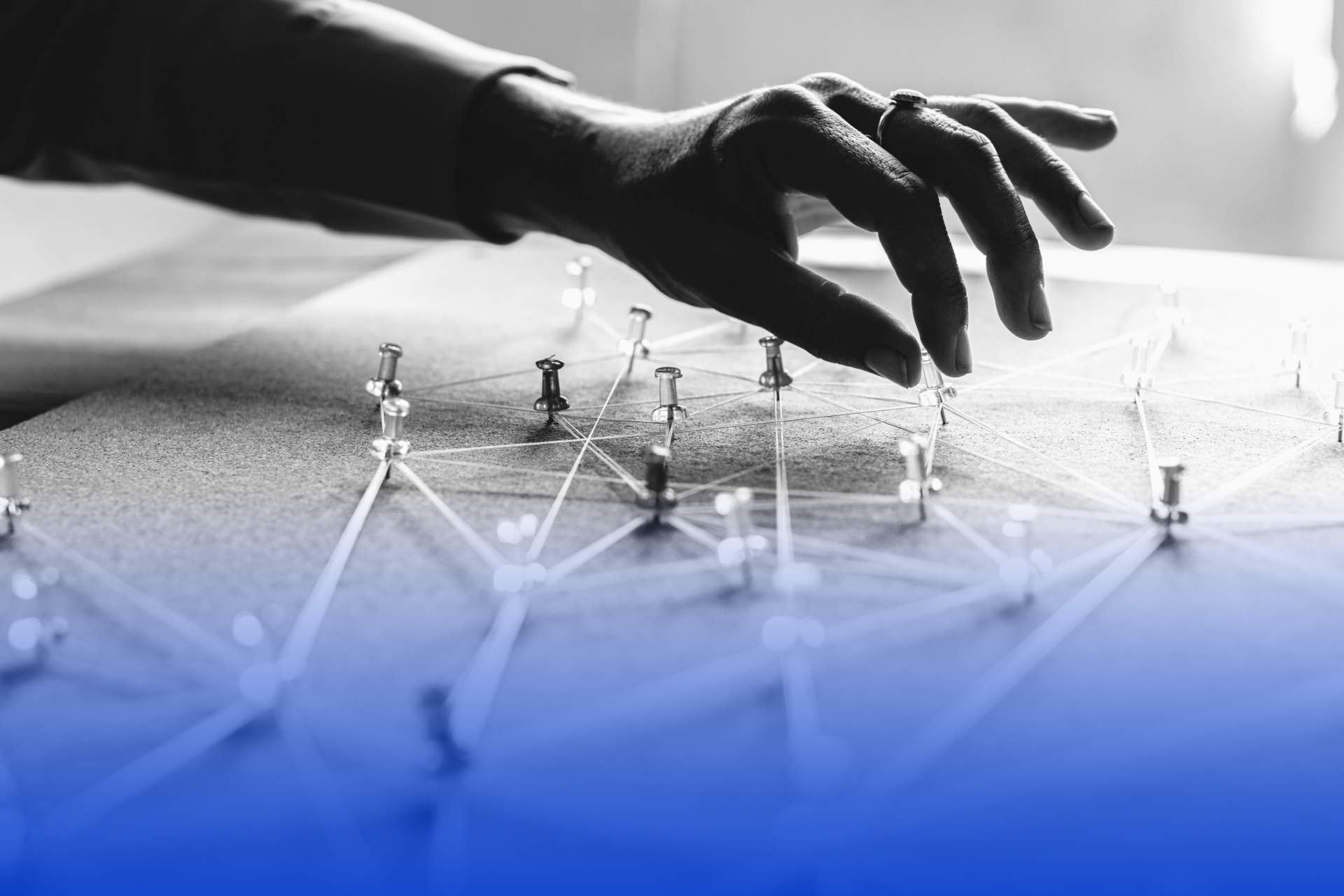 Private Investigators, Asset Searches