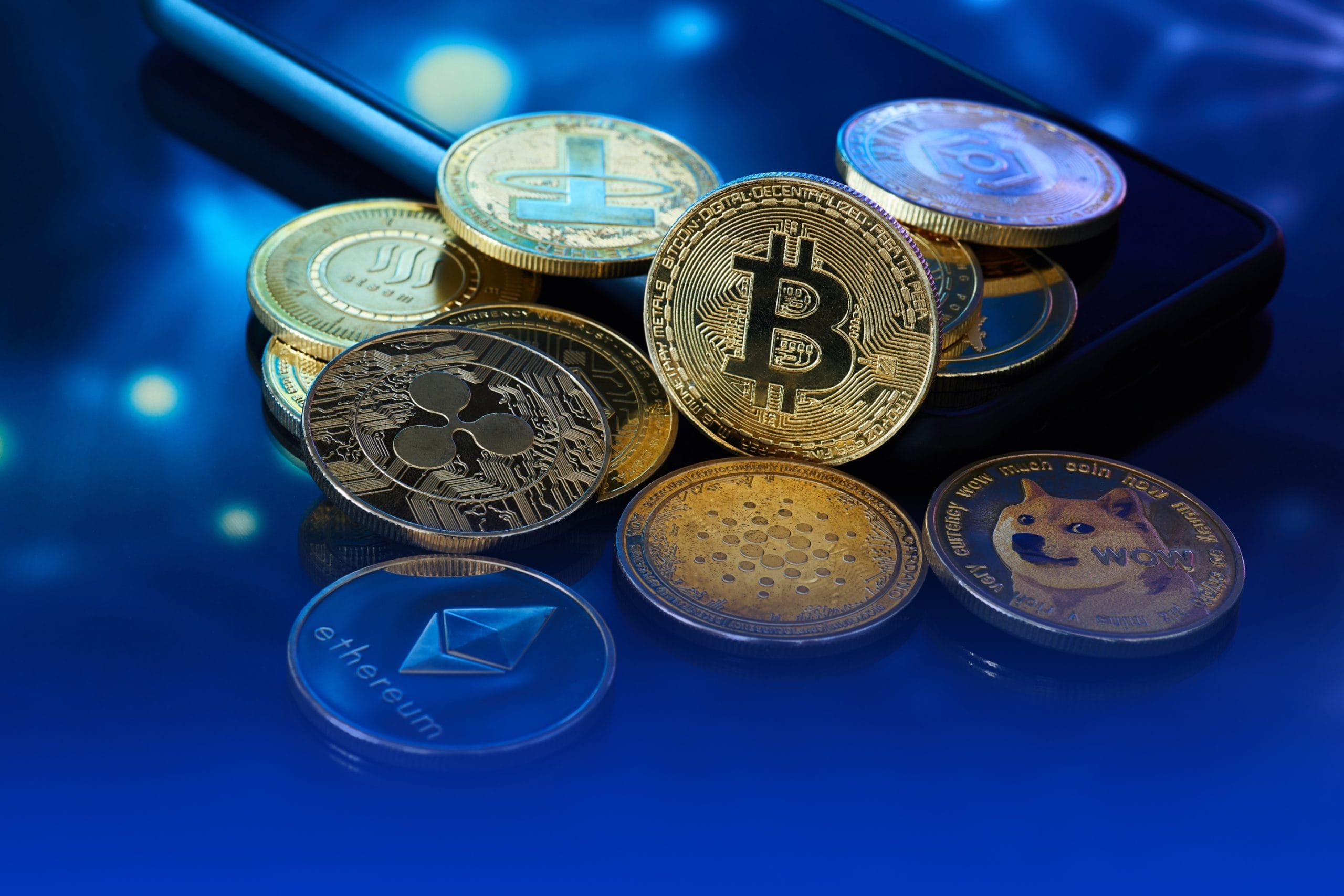 asset search, South Carolina Asset Search, asset search in S