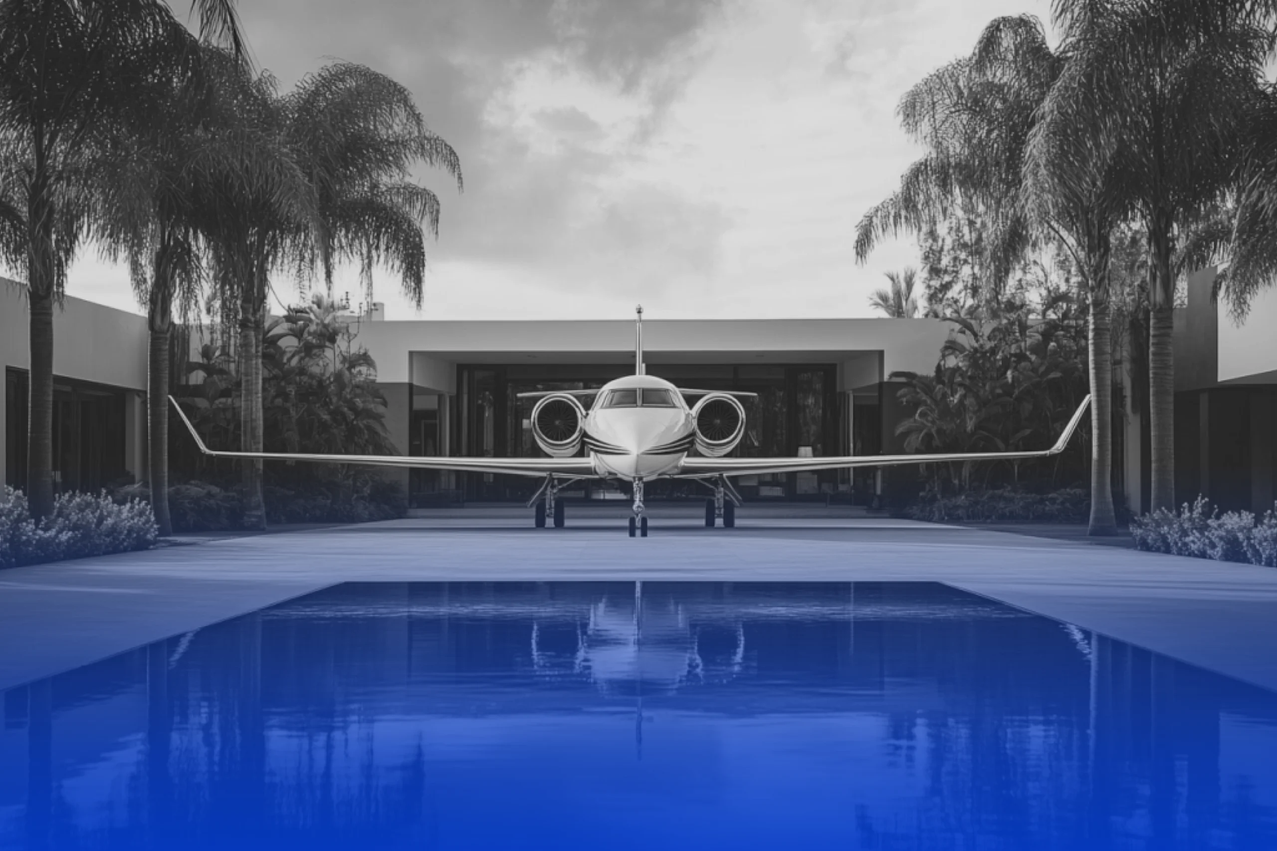 Financial Asset Search