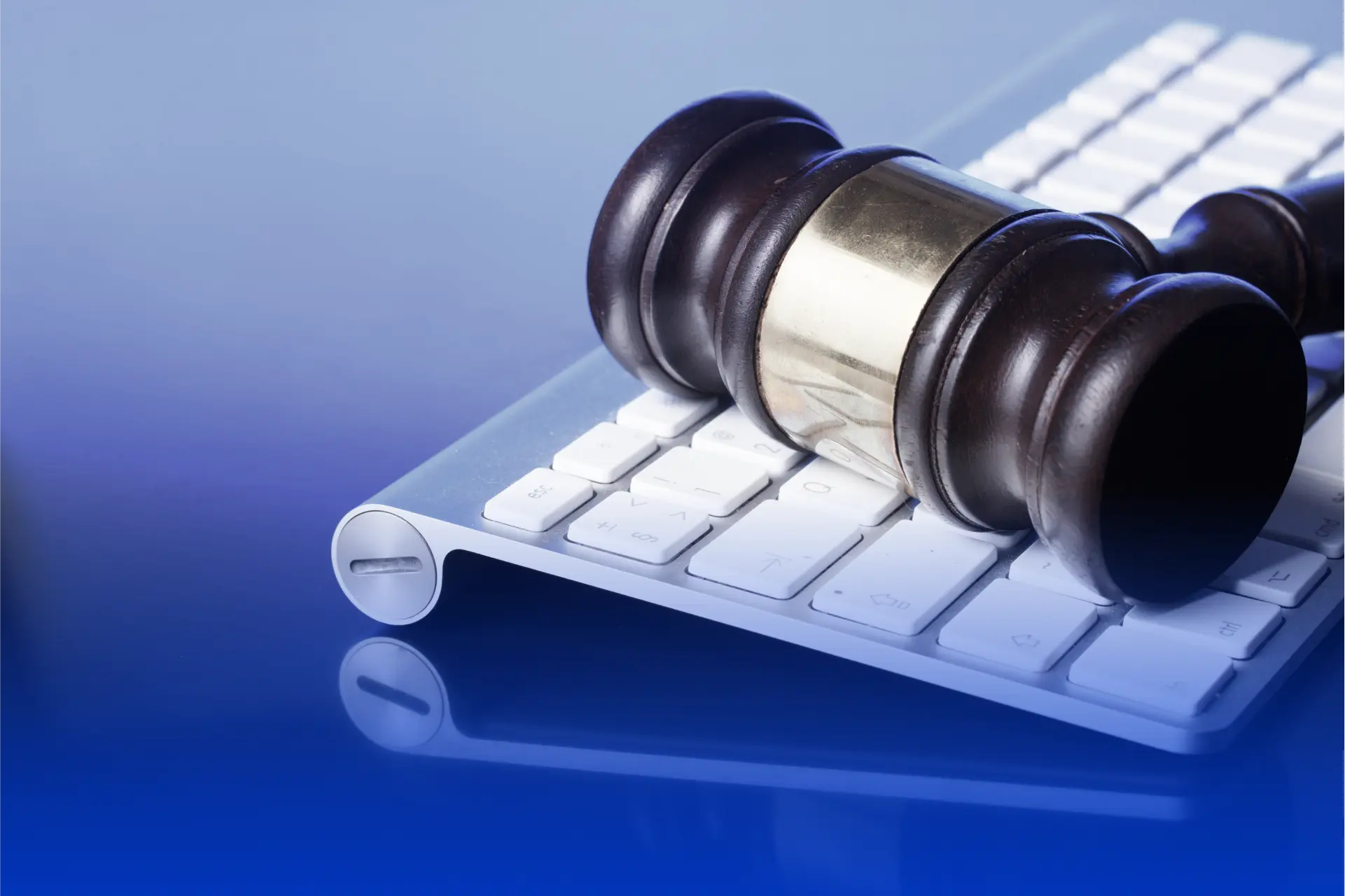 Digital Forensics, fraud Investigations